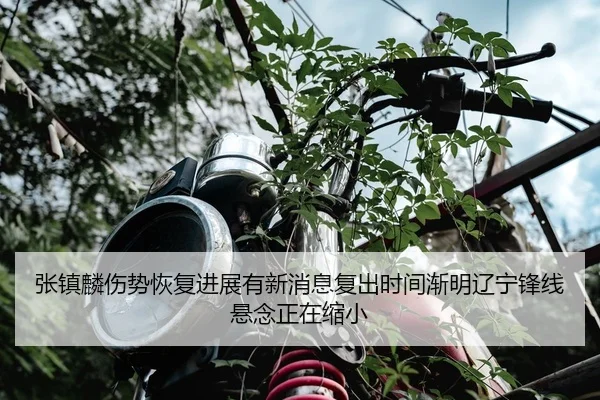 张镇麟伤势恢复进展有新消息复出时间渐明辽宁锋线悬念正在缩小
